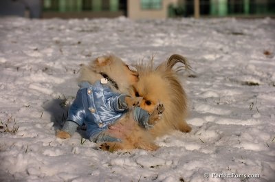 Dec4_07_517.JPG