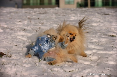 Dec4_07_518.JPG