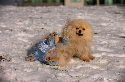 Dec4_07_519.JPG