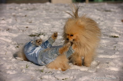 Dec4_07_520.JPG
