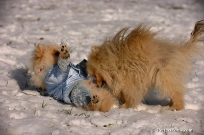 Dec4_07_521.JPG