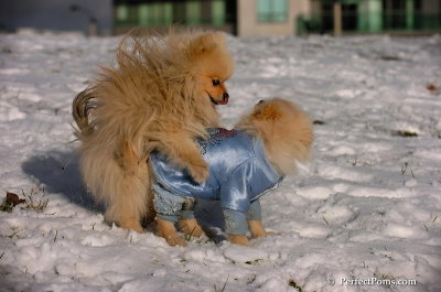 Dec4_07_525.JPG
