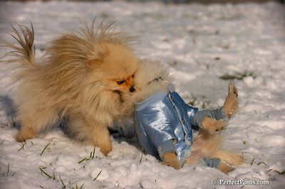 Dec4_07_527.JPG