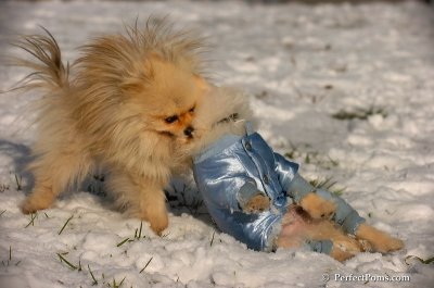 Dec4_07_528.JPG