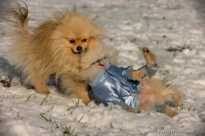 Dec4_07_529.JPG