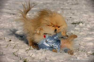 Dec4_07_530.JPG