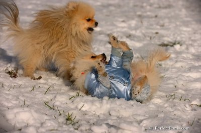 Dec4_07_531.JPG