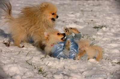 Dec4_07_532.JPG