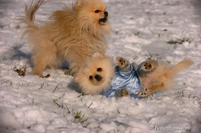 Dec4_07_534.JPG