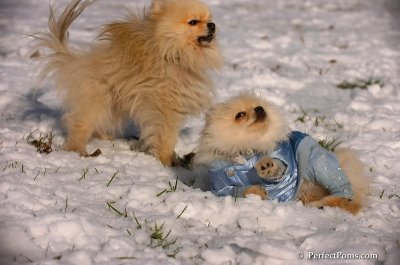 Dec4_07_535.JPG