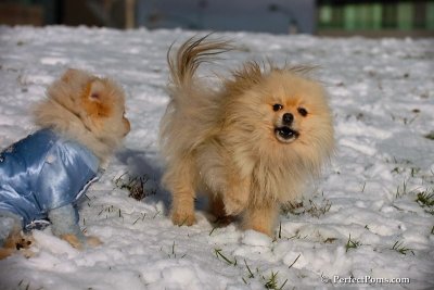 Dec4_07_536.jpg