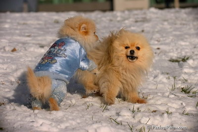 Dec4_07_537.jpg