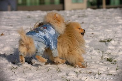 Dec4_07_538.jpg