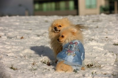 Dec4_07_539.JPG