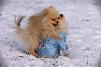 Dec4_07_540.JPG