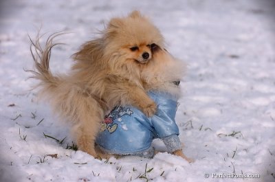 Dec4_07_541.JPG