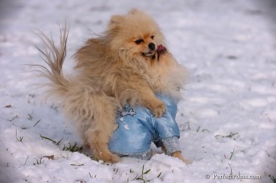 Dec4_07_542.JPG