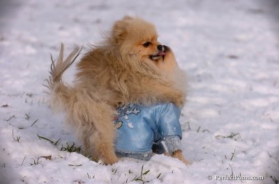 Dec4_07_543.JPG
