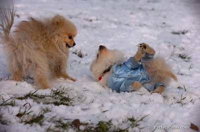 Dec4_07_544.JPG