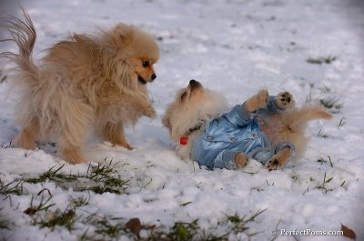 Dec4_07_545.JPG