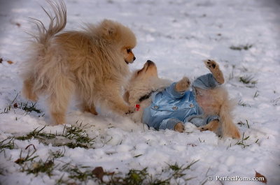 Dec4_07_546.JPG