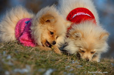 Dec5_07_335.JPG