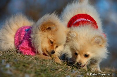 Dec5_07_336.JPG