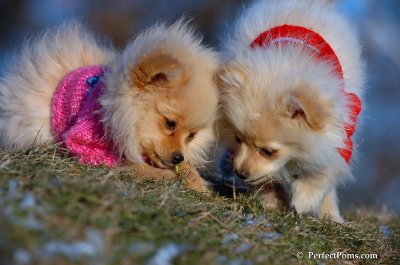 Dec5_07_337.JPG