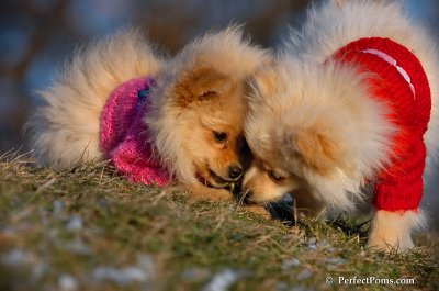 Dec5_07_339.JPG