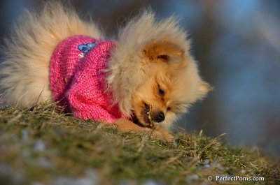 Dec5_07_340.JPG