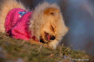 Dec5_07_341.JPG
