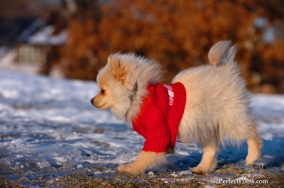 Dec5_07_354.JPG