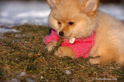 Dec5_07_358.JPG