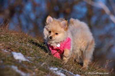 Dec5_07_362.JPG