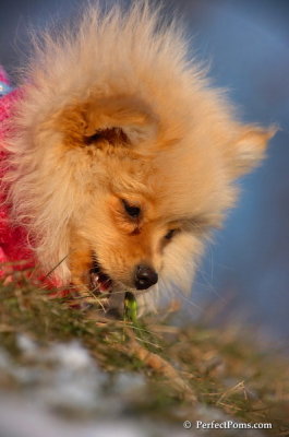 Dec5_07_365.JPG