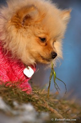 Dec5_07_367.JPG