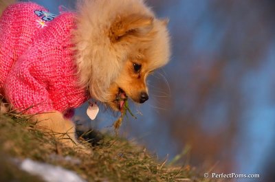 Dec5_07_369.JPG