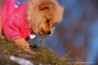 Dec5_07_370.JPG