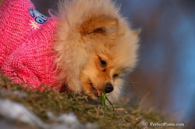 Dec5_07_371.JPG