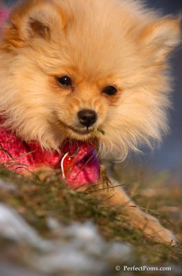 Dec5_07_374.JPG