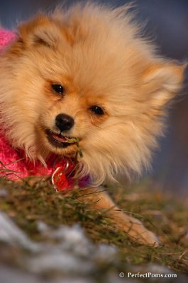 Dec5_07_375.JPG