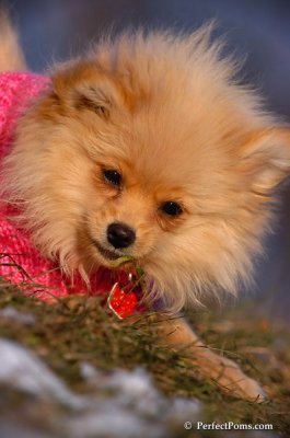 Dec5_07_377.JPG