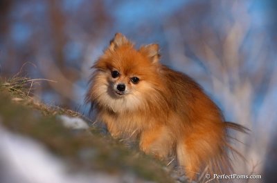 Dec5_07_378.JPG