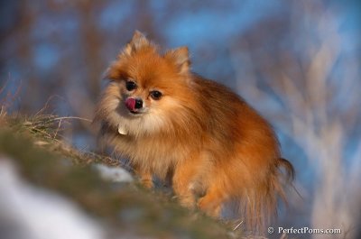 Dec5_07_379.JPG