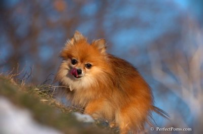 Dec5_07_380.JPG