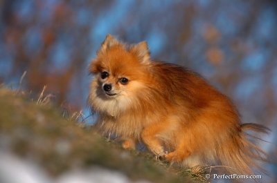 Dec5_07_381.JPG