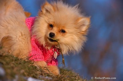 Dec5_07_382.JPG