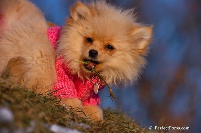 Dec5_07_383.JPG