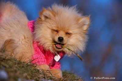 Dec5_07_384.JPG