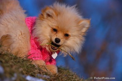 Dec5_07_385.JPG